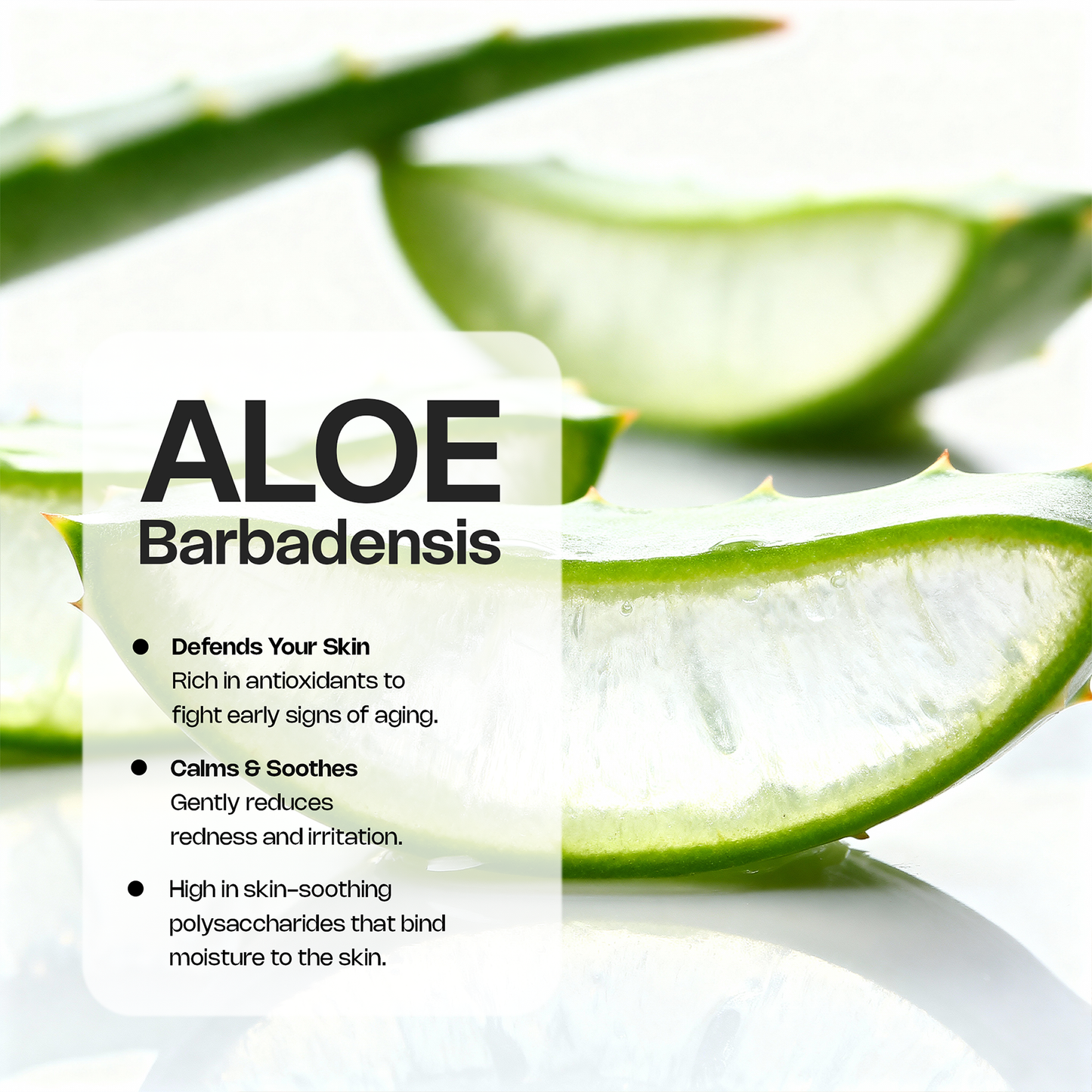 Peptide Hydration Serum