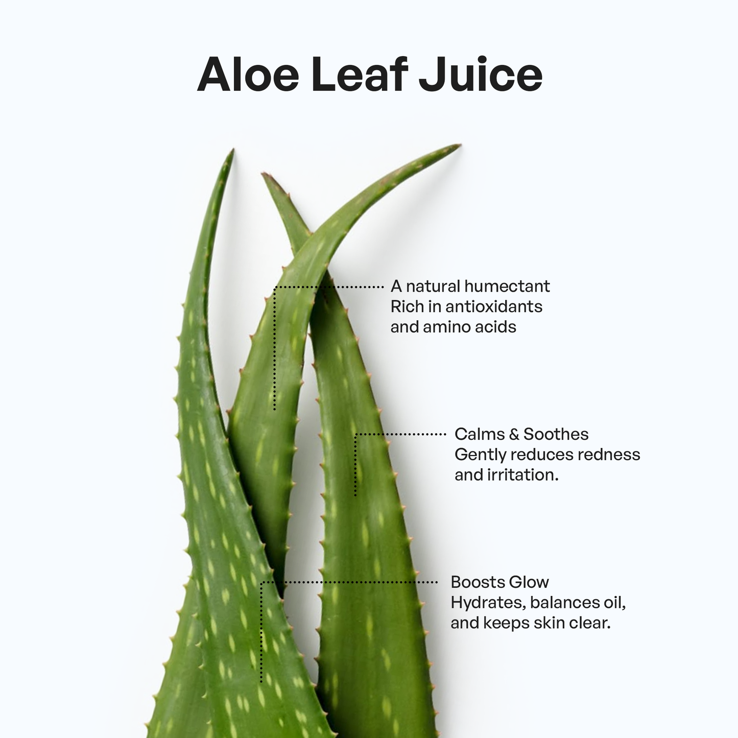 Clean & Hydrate Face Duo