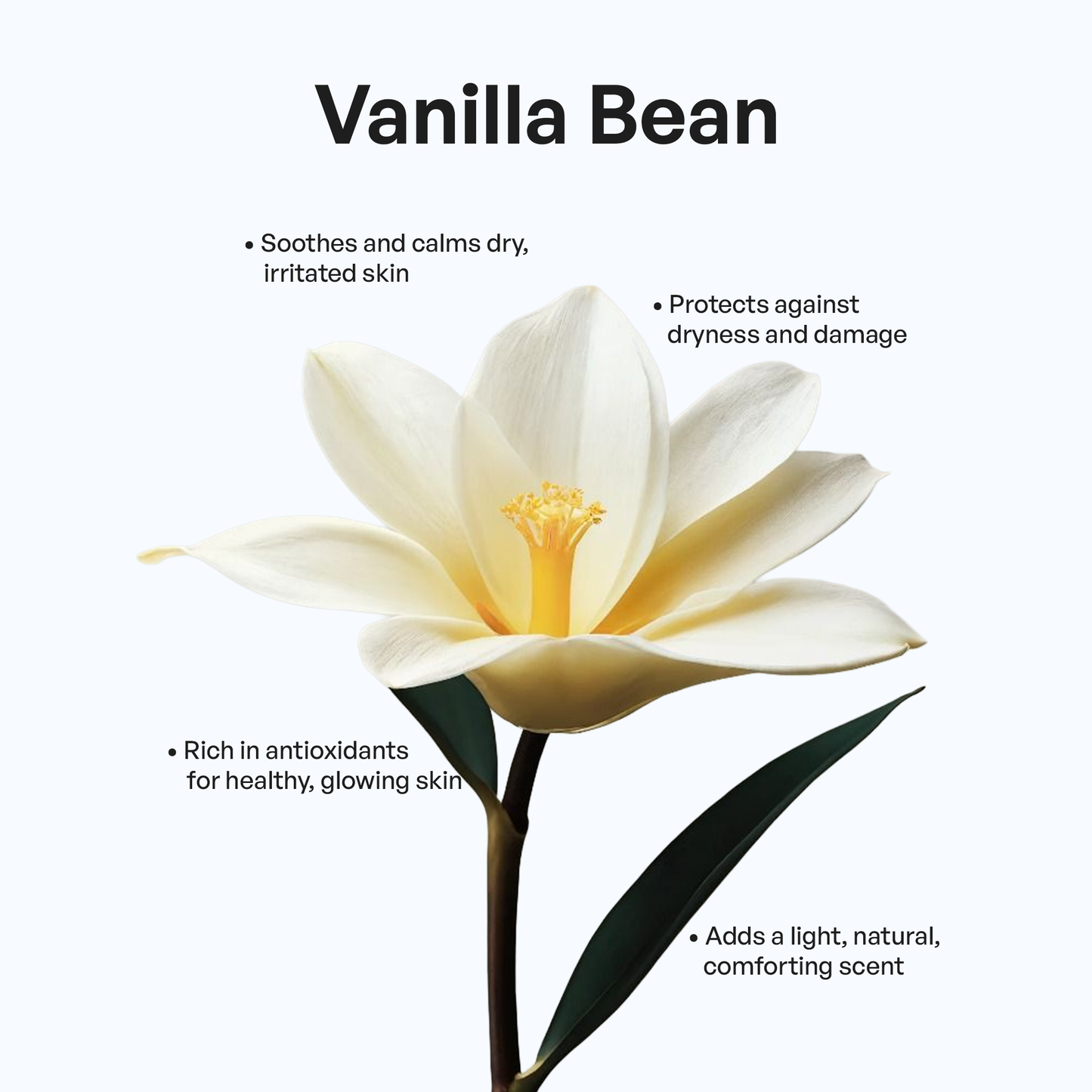 Grass-Fed Whipped Tallow