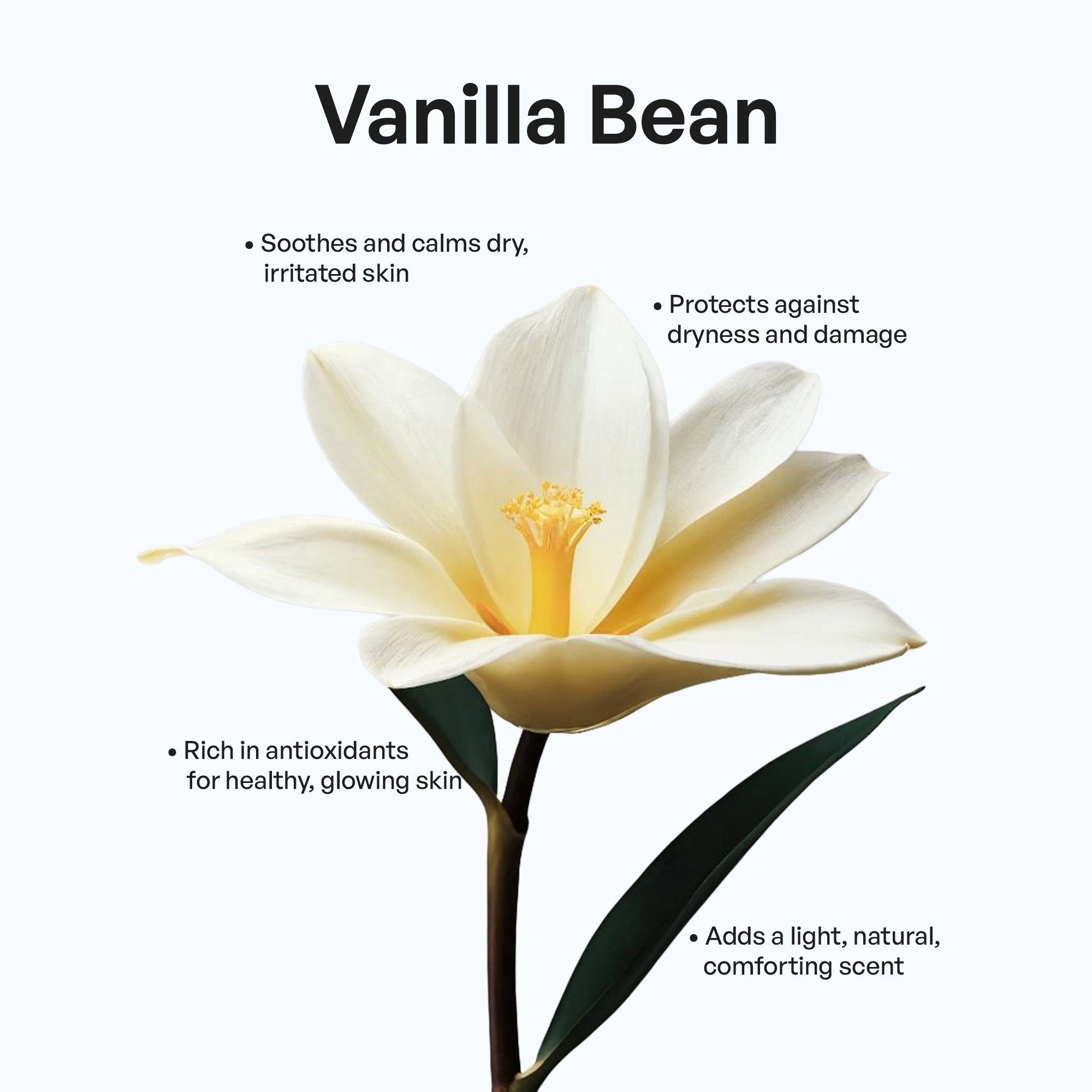 Grass-Fed Whipped Tallow